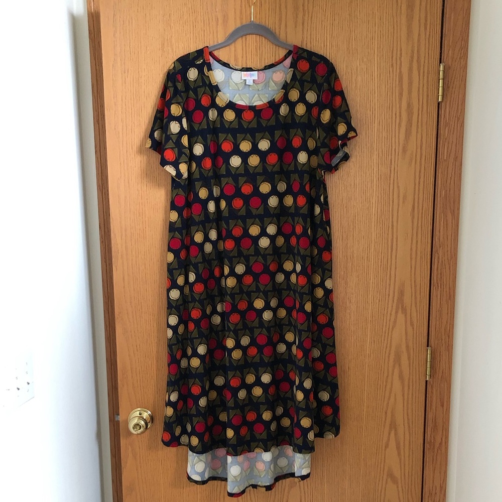 LulaRoe Carly dress XL